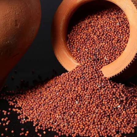 Finger Millet (Ragi)